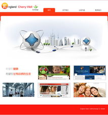 重慶元午商務(wù)信息咨詢網(wǎng)站建設(shè)案例解析